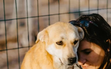 UTA GAARDER HELPS STREET DOGS FIND HOMES IN GERMANY