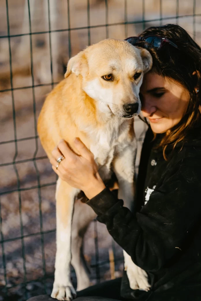 UTA GAARDER HELPING DOGS (1)